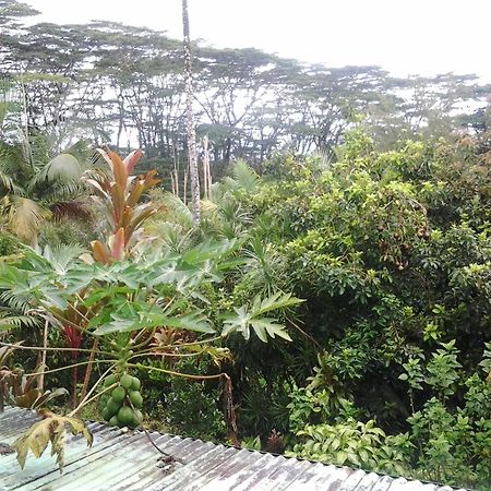 Lava Tree Tropic Inn Pahoa ภายนอก รูปภาพ