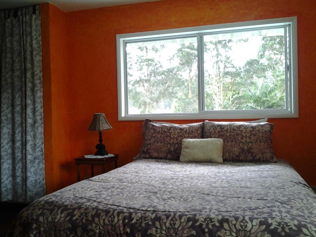 Lava Tree Tropic Inn Pahoa ห้อง รูปภาพ