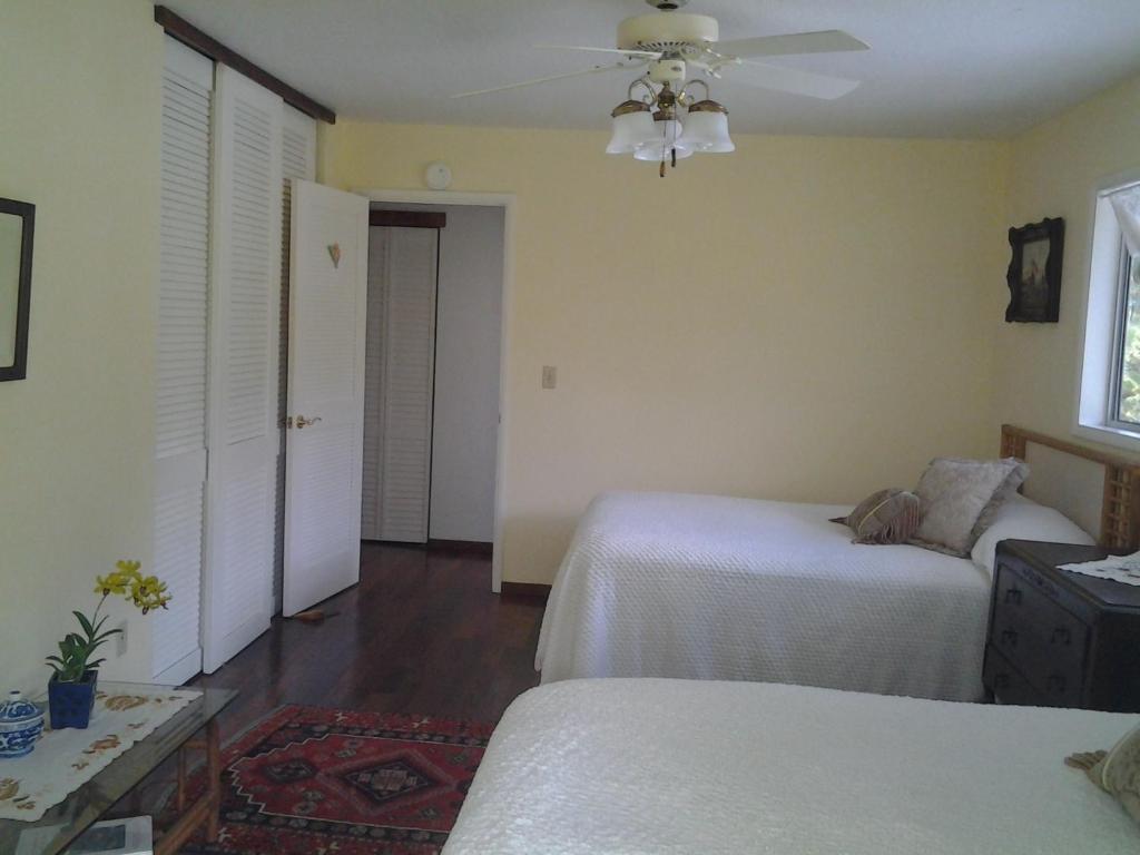 Lava Tree Tropic Inn Pahoa ห้อง รูปภาพ