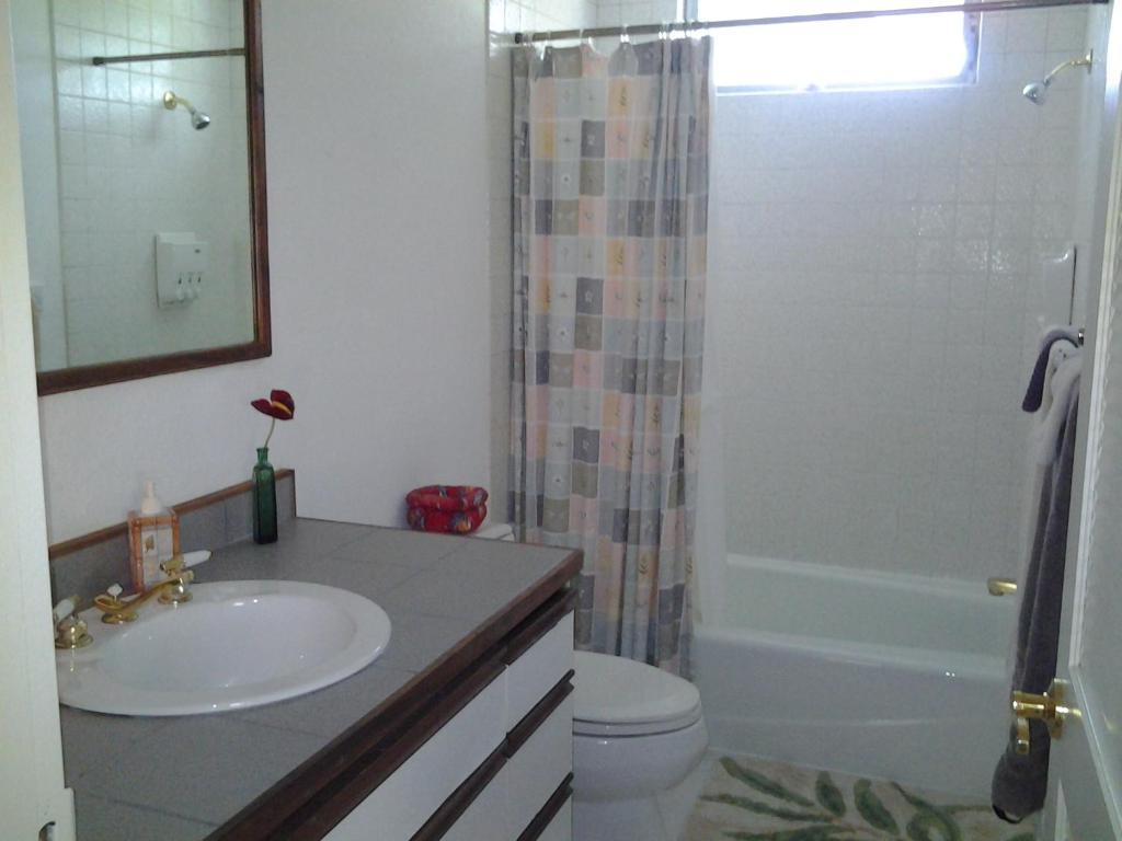 Lava Tree Tropic Inn Pahoa ห้อง รูปภาพ